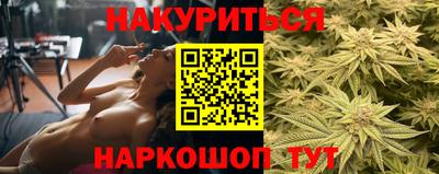 гидра Моздок