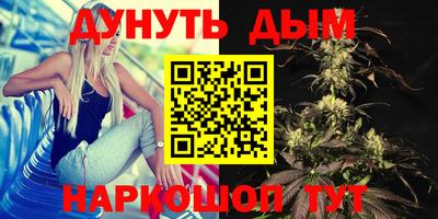 гидра Моздок