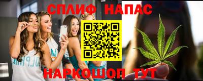 гидра Моздок