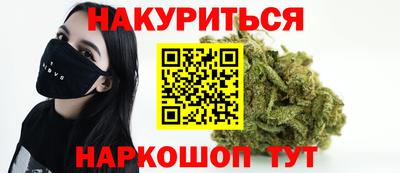 гидра Моздок