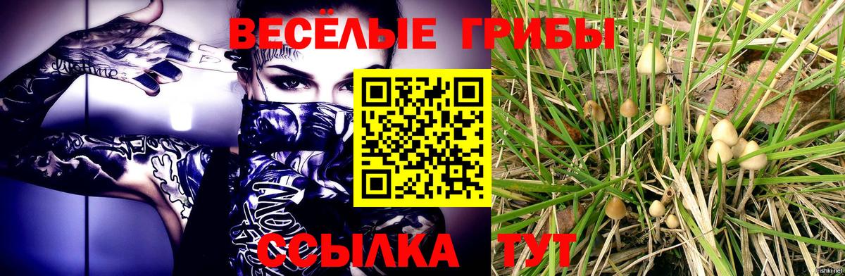 Галлюциногенные грибы Psilocybine cubensis  Псилоцибиновые грибы Psilocybe  Тамбов  Вход с VPN 